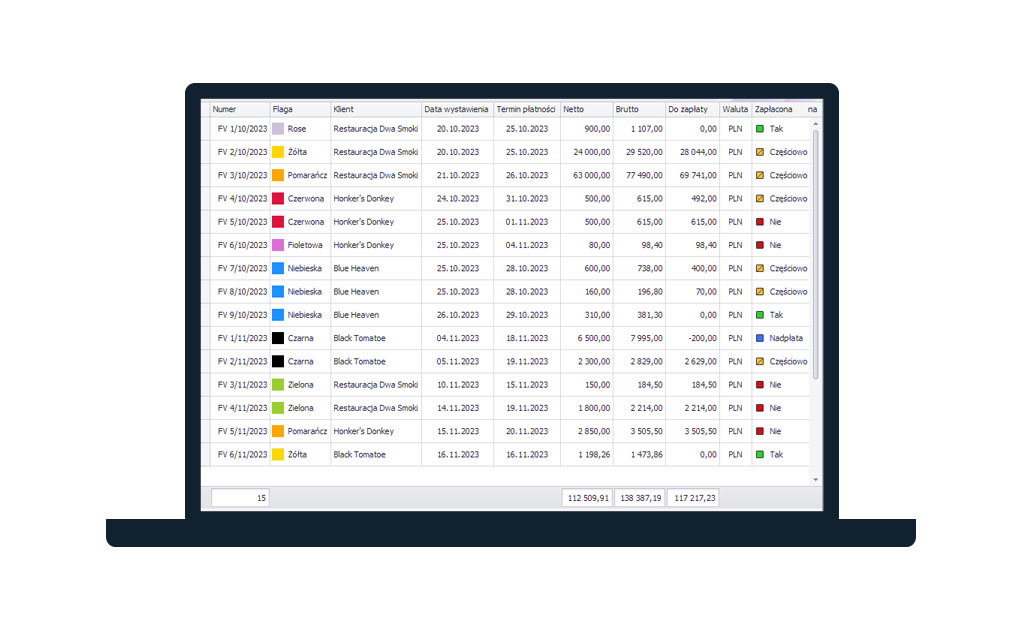 Program ELISOFT na ekranie komputera